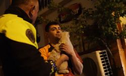 Köpeğini korumak isteyen alkollü sürücü kaza yaptı