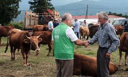 İHH’nın kurban bedeli açıklandı