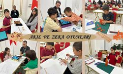 Akıl ve Zeka Oyunları Turnuvası düzenlendi