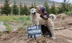 Garip, sahibinin mezarından ayrılmıyor