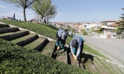 Mahallelerde temizlik seferberliği devam ediyor
