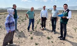 Nevşehir’deki arazi toplulaştırma çalışmalarına inceleme