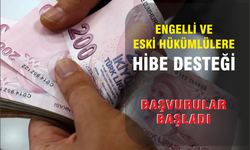 Engelli ve eski hükümlülere hibe desteği başvuruları başladı
