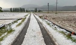 Nevşehir'de sel ve dolu tarım arazilerini vurdu