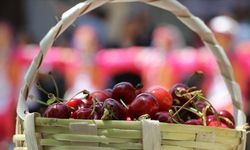 Aksalur’da kiraz festivali heyecanı