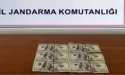 Avanos’ta sahte dolar operasyonu