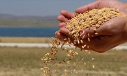 İl müdürlüğünden hububat alımı duyurusu