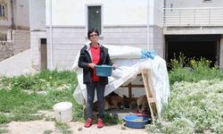 Ömrünün yarısını sokak hayvanlarına adadı