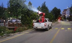 Nevşehir Belediyesinden 7/24 ilaçlama çalışması