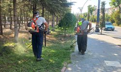 Nevşehir Belediyesi Güzelyurt’ta alarma geçti