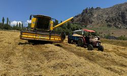 Derinkuyu'da biçerdöver biçim fiyatları belli oldu