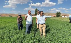 Kaymakam Bilici tarım arazilerini inceledi