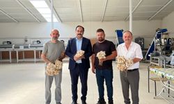 Kaymakam Celepci, sarımsak tesisini inceledi