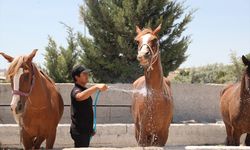 Aşırı sıcaklar Kapadokya'da sakinliğe neden oluyor