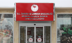 Tarım müdürlüğünden çiftçilere uyarı: Geleceğini karartma