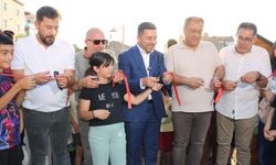 Apadana Arkeolojik Parkı turizme açıldı
