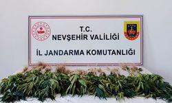 Jandarmadan zehir tacirine darbe