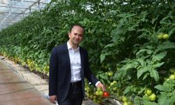 Kaymakam Açar seracılık faaliyetlerini inceledi