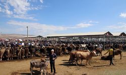 Dikkat! Nevşehir Hayvan pazarı açılmayacak