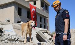 Nevşehir’de eğitilen kadavra köpeği ‘Pusat’ 175 cana ulaştı