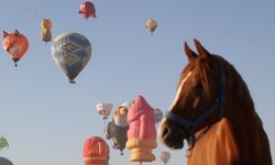 Figürlü balonlar gökyüzünü renklendirdi
