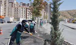 Kentte şehir estetiği için peyzaj çalışmaları başladı