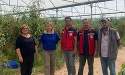 Nevşehir’deki sera ve araziler denetlendi