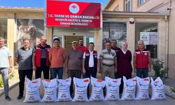 Nevşehir’de üreticiye tohum desteği