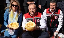 Nevşehir’de kabak çekirdeği hasadı başladı