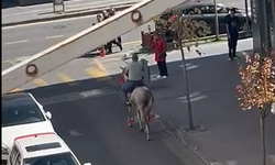 Nevşehir çarşısında at nalı sesi yankılandı