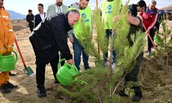 Mustafapaşa’da 3 bin fidan toprakla buluştu