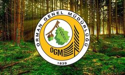 Orman Genel Müdürlüğü duyurdu: 262 işçi alınacak