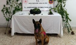 Ürgüp’te uyarıcı madde operasyonu