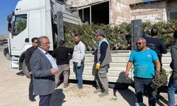 Avanos rengarenk bir görünüme kavuşacak