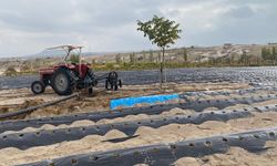 Nevşehir’de üreticiye yeni gelir olacak proje start aldı