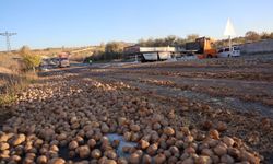 Nevşehir’de tır devrildi! 30 ton patates yola saçıldı