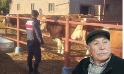 Boğa darbeleriyle yaralanan yaşlı adam hayatını kaybetti