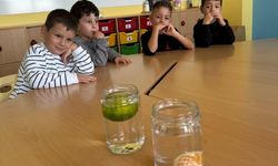 Minikler merak ettiklerini deneylerle öğreniyor