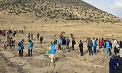 NEVÜ öğrencileri şehitler için fidanları toprakla buluşturdu