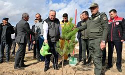 Kozaklı’da fidanlar toprakla buluştu