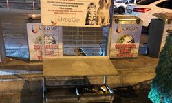Ürgüp'te sokak hayvanları için mama uygulaması