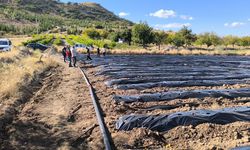 Nevşehir’de çilek üretimi yaygınlaşıyor