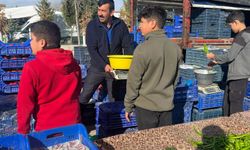 Derinkuyu pazaryerinde zabıtadan sıkı denetim