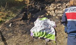 Nevşehir’de bahçe temizliği facia ile sonuçlandı