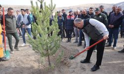 Nevşehir'de topraklar fidanla nefes alacak