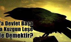 Devlet başa ya kuzgun leşe ne demektir?