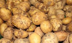 Bakanlıktan patates açıklaması