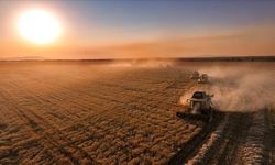 Çiftçilere tarımsal destek ödemesi yapıldı