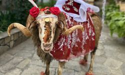 Nevşehir'de 'Gelin Koçu' geleneği devam ediyor..