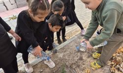 Öğrenciler yeşil vatan için fidan dikti